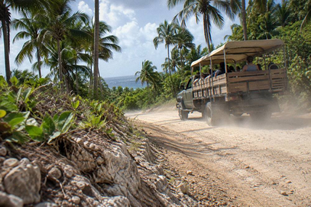 Open-air safari-style truck on a dirt road through green palm forest